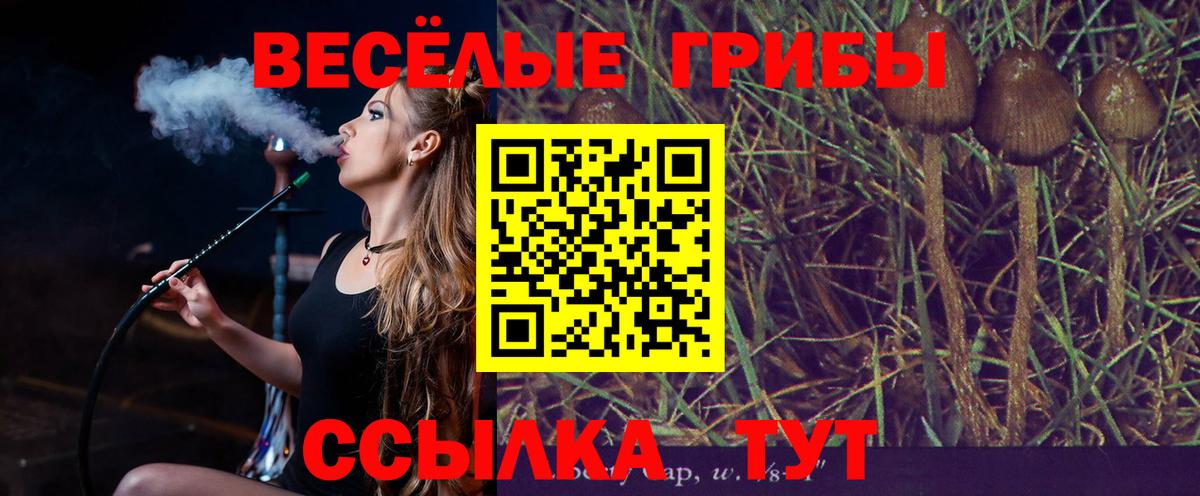Псилоцибиновые грибы Psilocybe Осинники